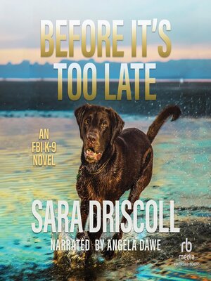cover image of Before It's Too Late
